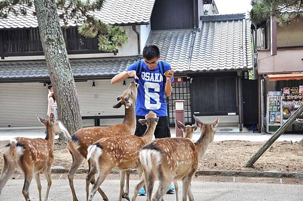 Day 2 東大寺16