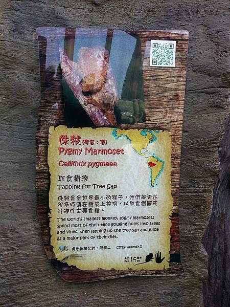 Day 2 香港海洋公園 熱帶雨林探險徑4