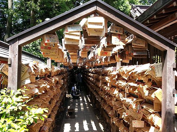 Day 4 氷川神社5