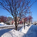 Day 3 往西友宮の沢店路上