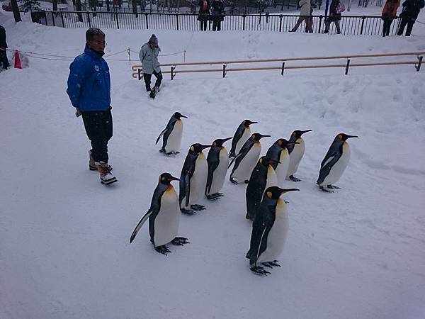 Day 4 旭山動物園10