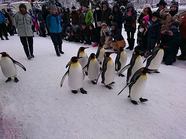 Day 4 旭山動物園57