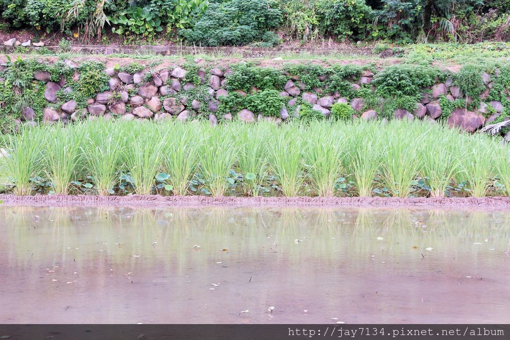 IMG_6443.JPG IMG_6443.JPG