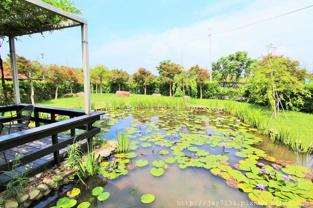 IMG_6569.JPG IMG_6569.JPG