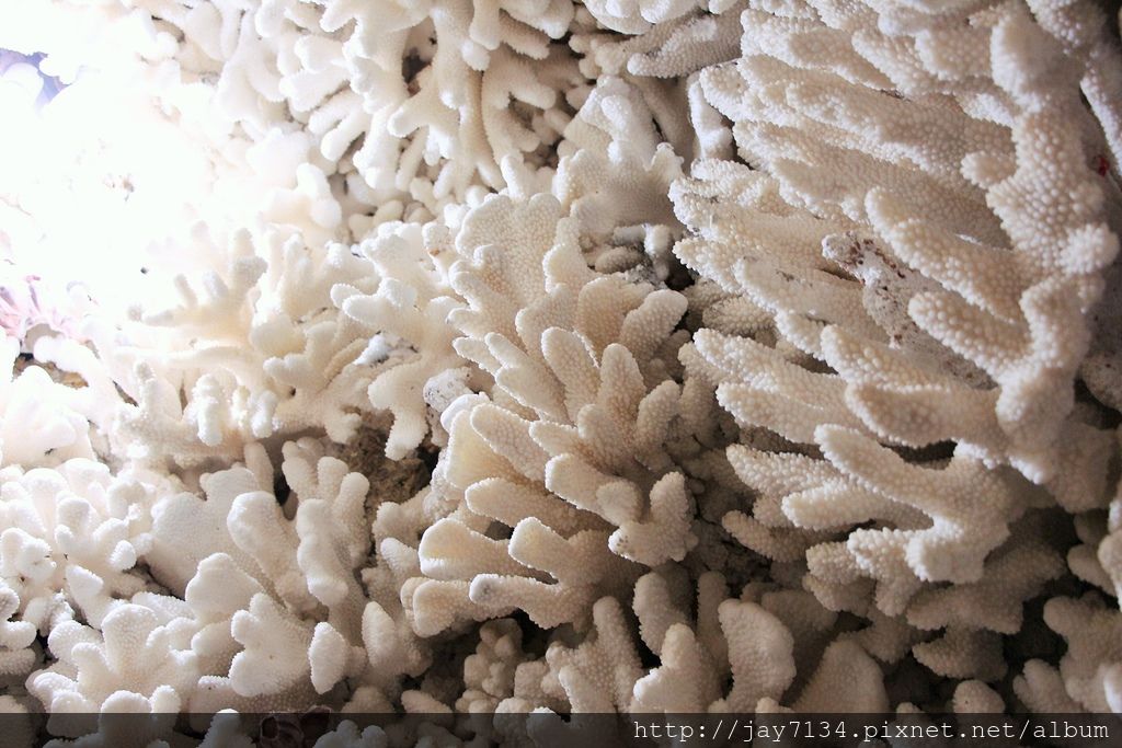 IMG_6621.JPG IMG_6621.JPG