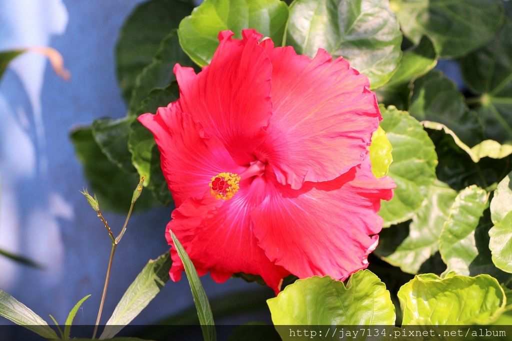 IMG_6643.JPG IMG_6643.JPG