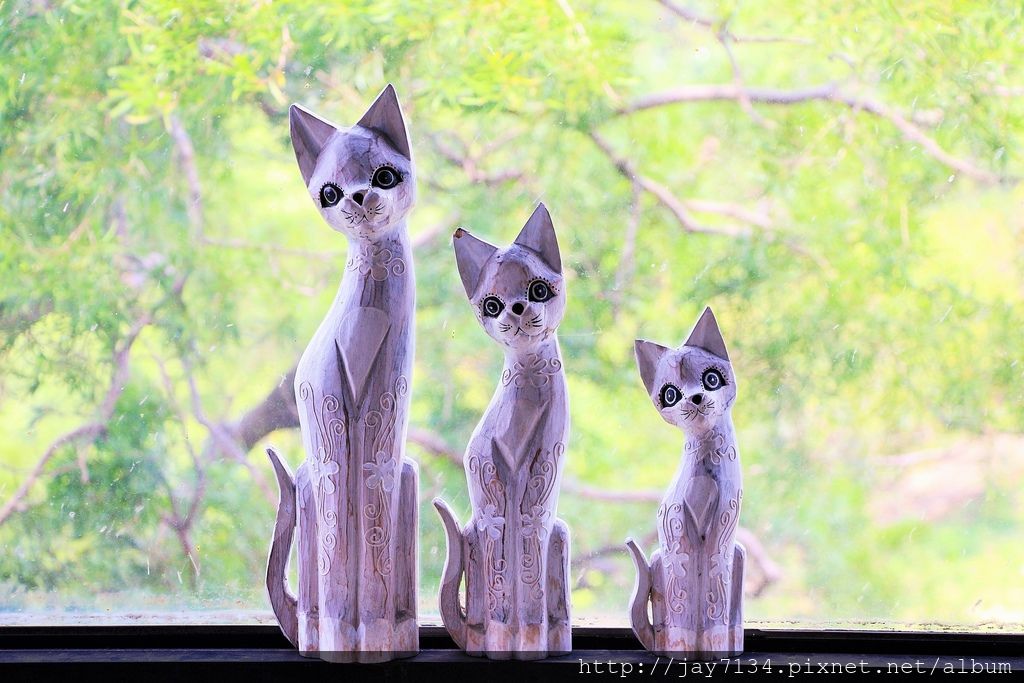 IMG_6681.JPG IMG_6681.JPG