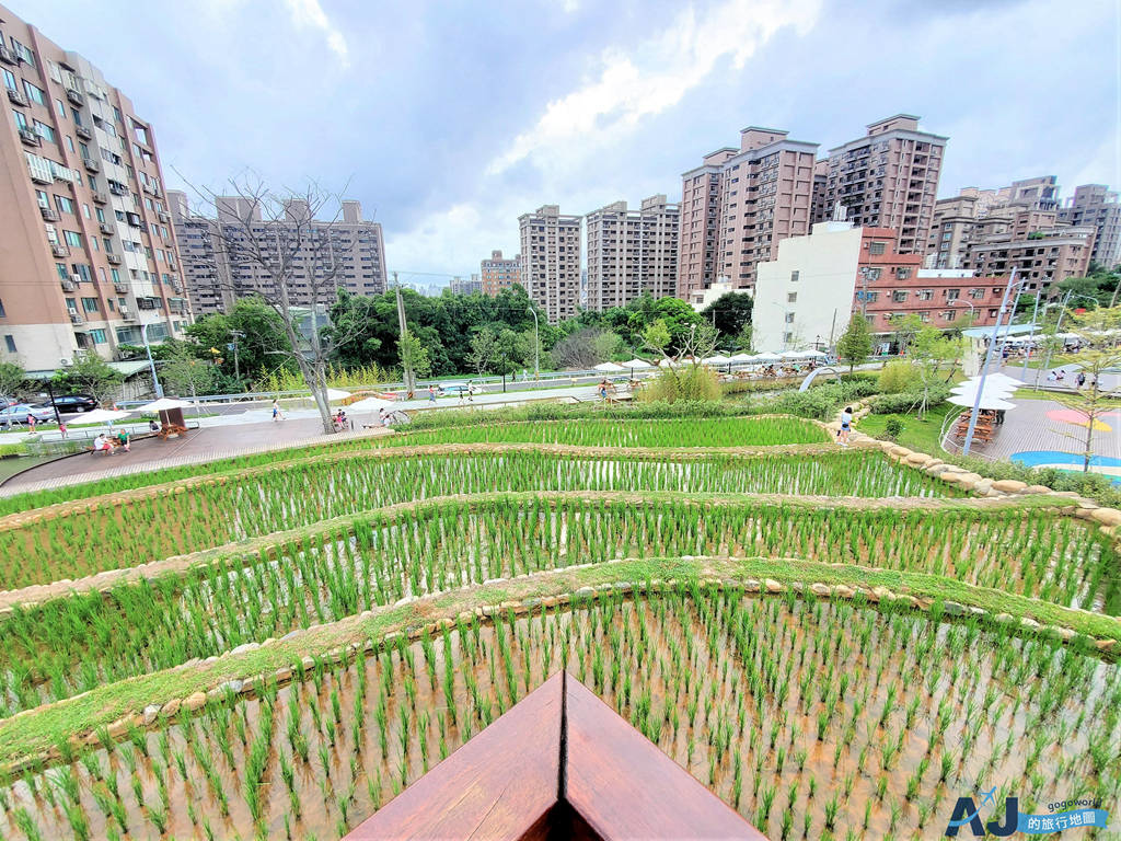 [旅遊] 桃園 大有梯田生態公園 戲水區、滑索 