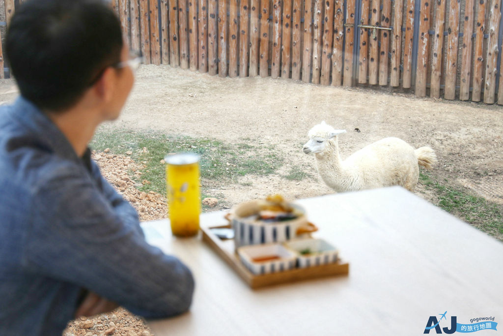 新竹市立動物園 森林食堂及野餐市集新竹超人氣景觀咖啡館吃點心看羊駝菜單 營業時間分享 Aj的旅行地圖 痞客邦