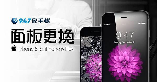 20479921_1551858824888720_6967294257428834720_n.jpg 20479921_1551858824888720_6967294257428834720_n.jpg