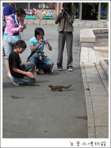 遇見松鼠