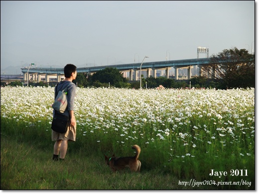 幸福水漾公園 (10).jpg 幸福水漾公園 (10).jpg