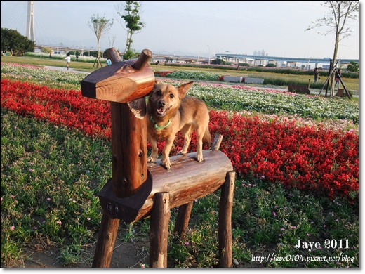 幸福水漾公園 (14).jpg 幸福水漾公園 (14).jpg