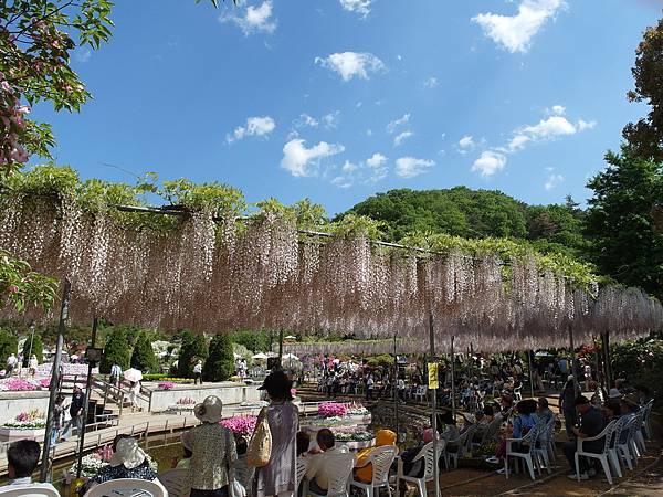 0502_4足利花園_210