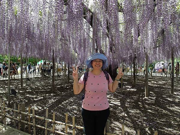 0502_4足利花園_152