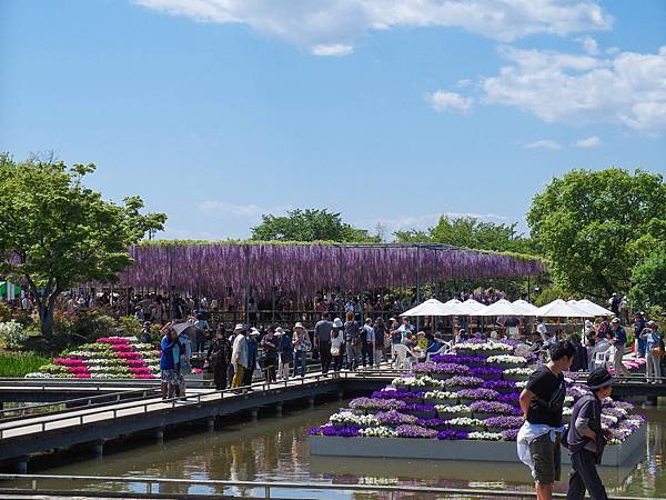 0502_4足利花園_114