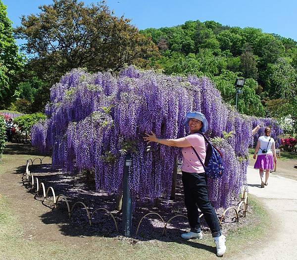 0502_4足利花園_077