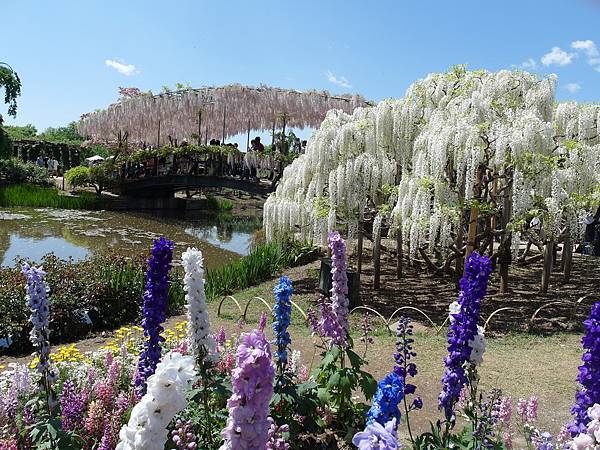 0502_4足利花園_084