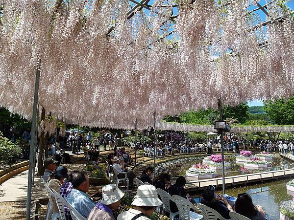 0502_4足利花園_040