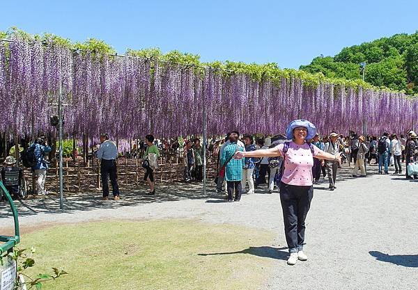 0502_4足利花園_066