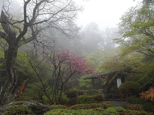 0430_5箱根神社_043