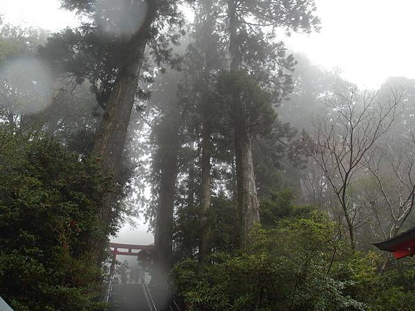 0430_5箱根神社_014