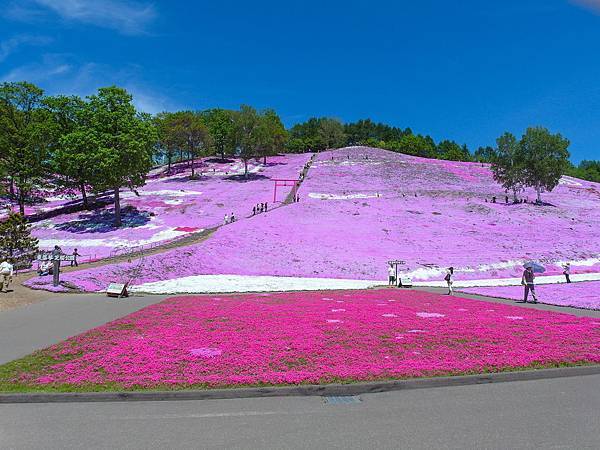 0602_6東藻琴芝櫻公園_033