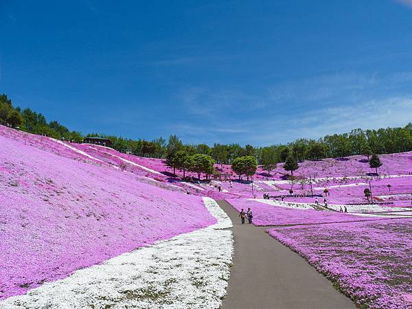 0602_6東藻琴芝櫻公園_046