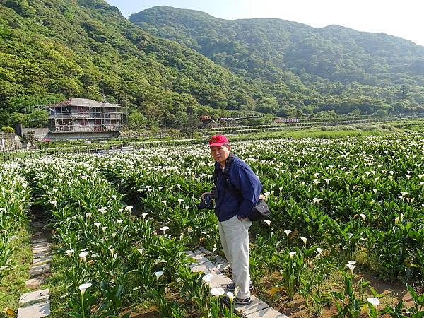 140413 陽明山_竹仔湖_海芋_085