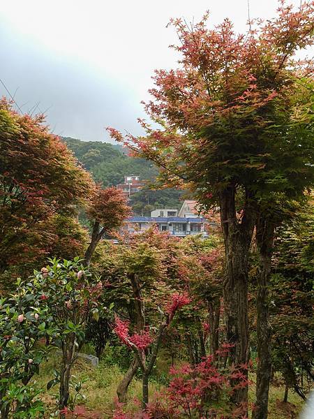 140419 陽明山_台北奧萬大_017