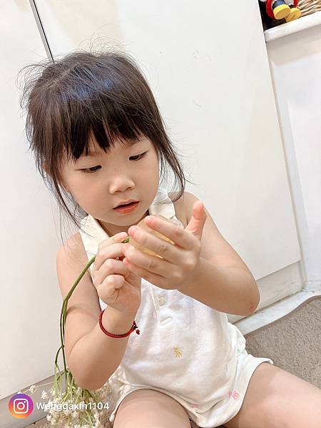 美容保養分享紅豆杉潔淨皂 Yew Cleansing So 美容保養分享紅豆杉潔淨皂 Yew Cleansing So