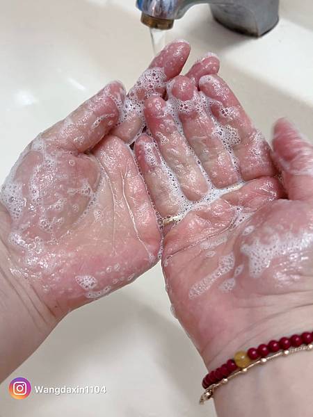 美容保養分享紅豆杉潔淨皂 Yew Cleansing So 美容保養分享紅豆杉潔淨皂 Yew Cleansing So