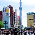 Tokyo一人旅行 78