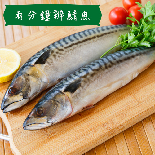 鯖魚分辨.JPG