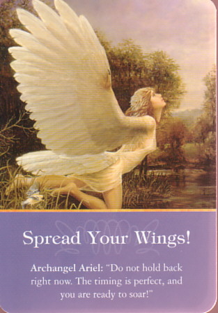 Spread_Your_Wings