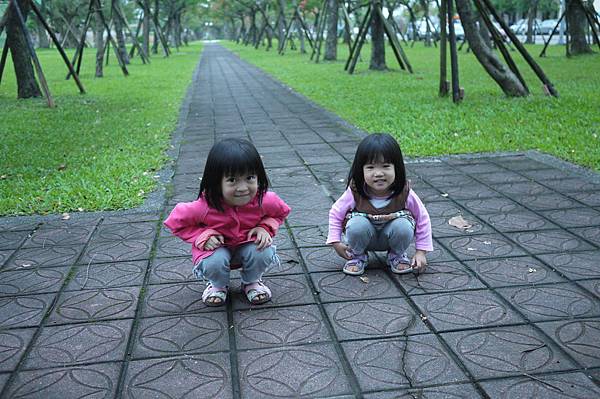P1050978 P1050978