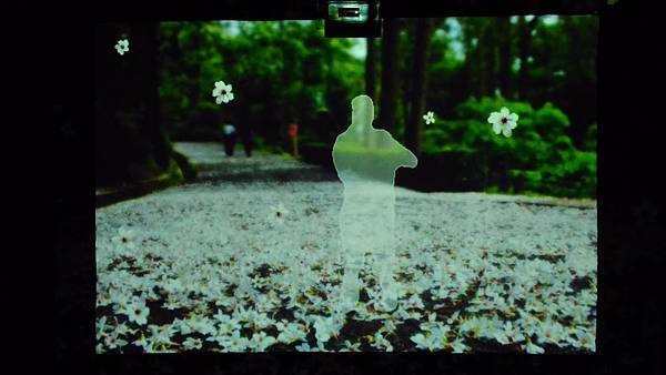 P_20151219_152317.jpg P_20151219_152317.jpg