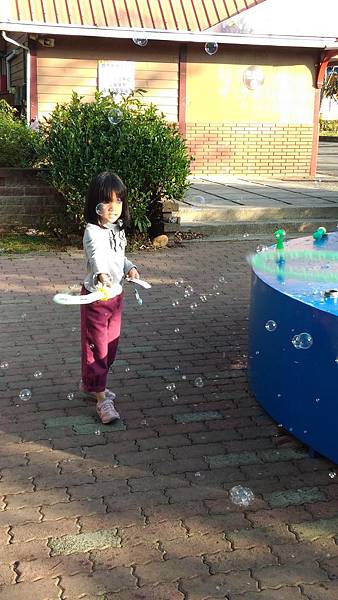 P_20151219_153623.jpg P_20151219_153623.jpg