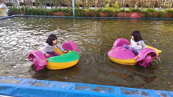 P_20151219_154359.jpg P_20151219_154359.jpg