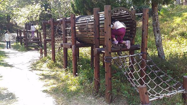 P_20151219_132709.jpg P_20151219_132709.jpg