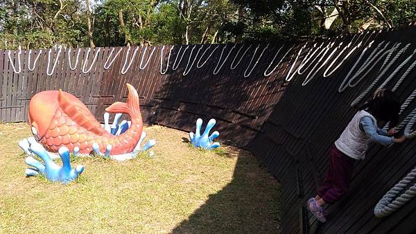 P_20151219_134324.jpg P_20151219_134324.jpg