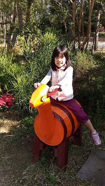 P_20151219_131613.jpg P_20151219_131613.jpg