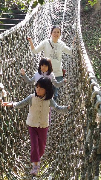 P_20151219_134057.jpg P_20151219_134057.jpg