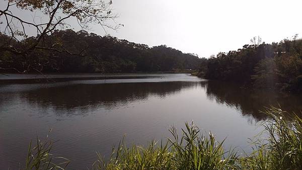 P_20151219_135636.jpg P_20151219_135636.jpg