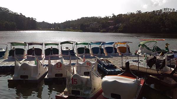 P_20151219_140031.jpg P_20151219_140031.jpg