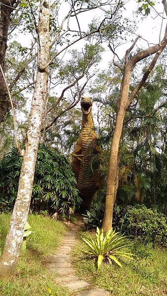 P_20151220_102317.jpg P_20151220_102317.jpg