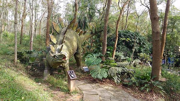 P_20151220_102410.jpg P_20151220_102410.jpg