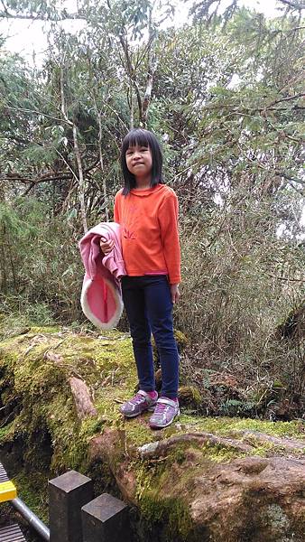 P_20160401_110126.jpg P_20160401_110126.jpg