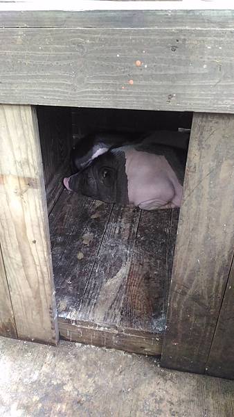 P_20160612_071204.jpg P_20160612_071204.jpg