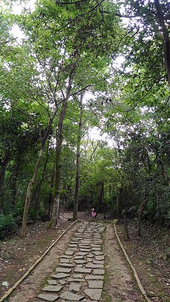 P_20160612_072522.jpg P_20160612_072522.jpg